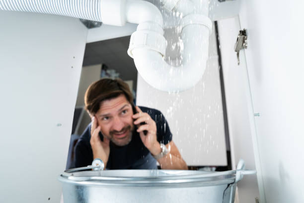 Best Commercial Plumbing Services  in Deltana, AK