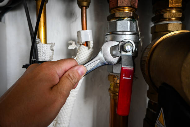 Best Shower Repair Services  in Deltana, AK